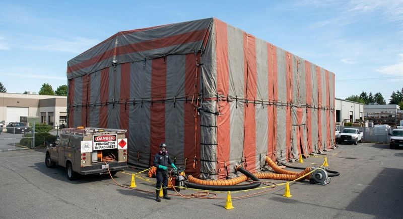 Commercial Fumigation in Toledo, OH