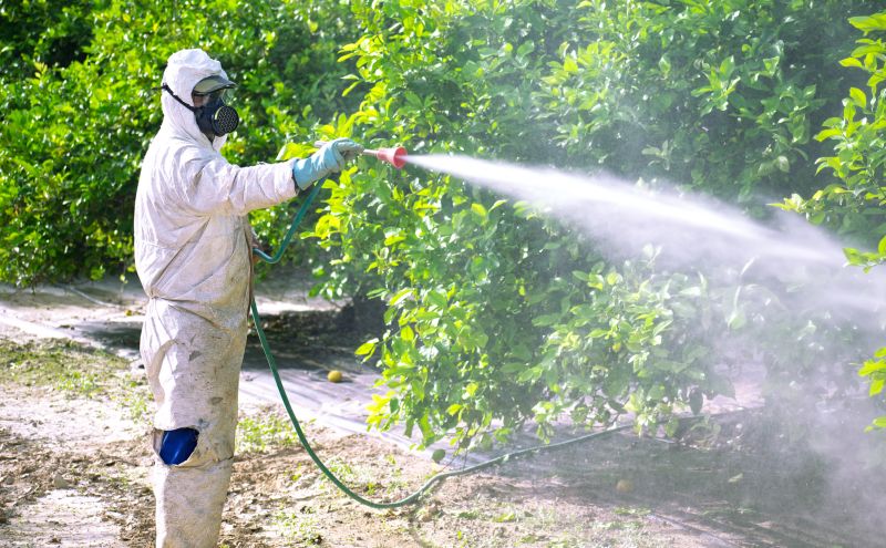 Commercial Fumigation in Fayetteville, NC