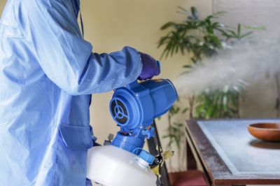 Fumigation Service in Woodbridge, VA