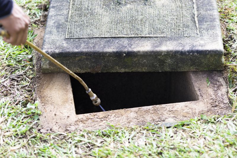 Rat Fumigation Service in Davis County, UT