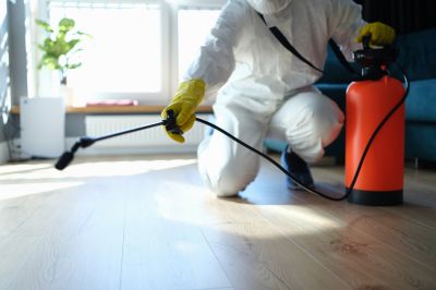 Spider Control Service in Katy, TX