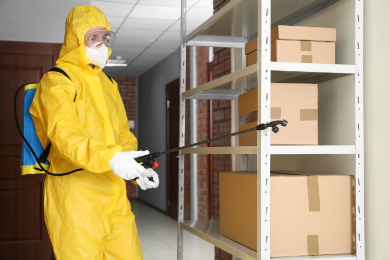 Wasp Control Service