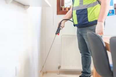 Ants Extermination Service in Frisco, TX