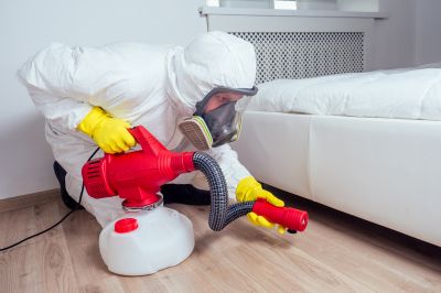 Commercial Pest Control in Frisco, TX