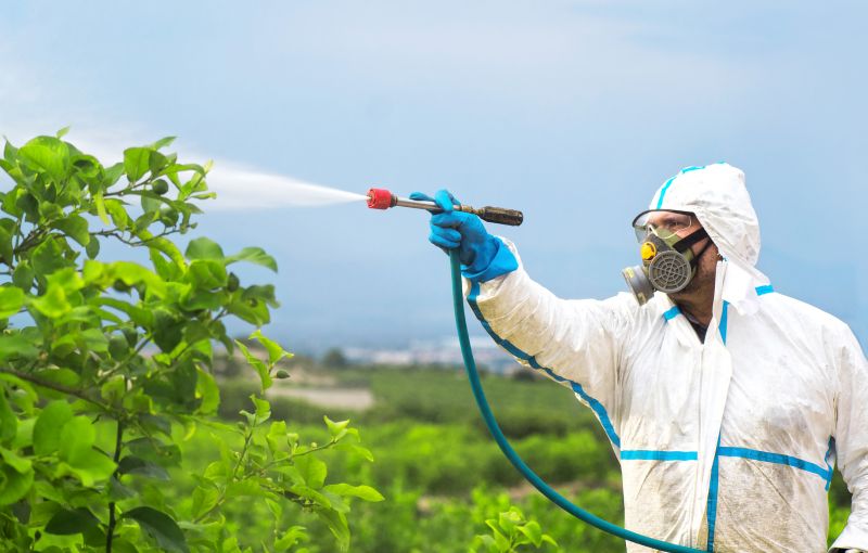 Fumigation Service in West Palm Beach, FL