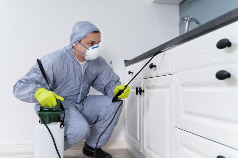 Insect Control Service in Arlington, TX