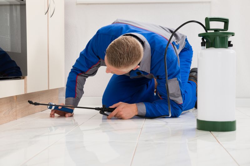 Insect Control Service in Frisco, TX