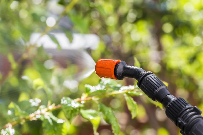Lawn Insect Spraying in Katy, TX
