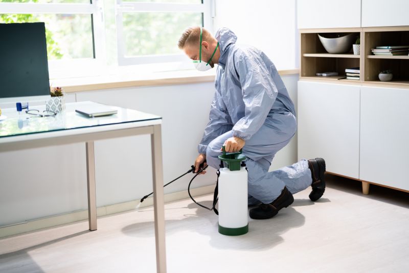Pest Control Service in Katy, TX