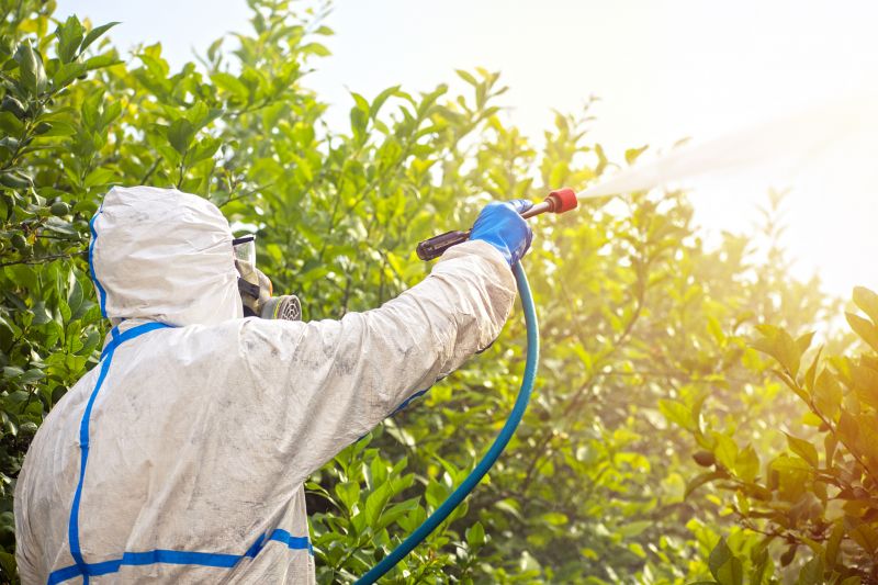 Pest Fumigation Service in Woodbridge, VA
