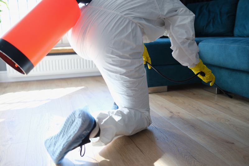 Rat Fumigation Service in Marietta, GA