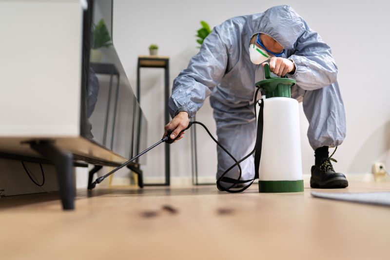 Spider Fumigation Service in San Antonio, TX