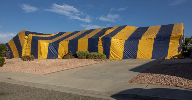 Tent Fumigation in Asheville, NC