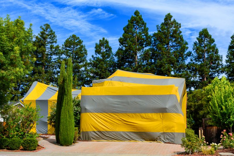 Termite Tenting in Naperville, IL